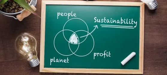 chalkboard illustration of sustainability diagram